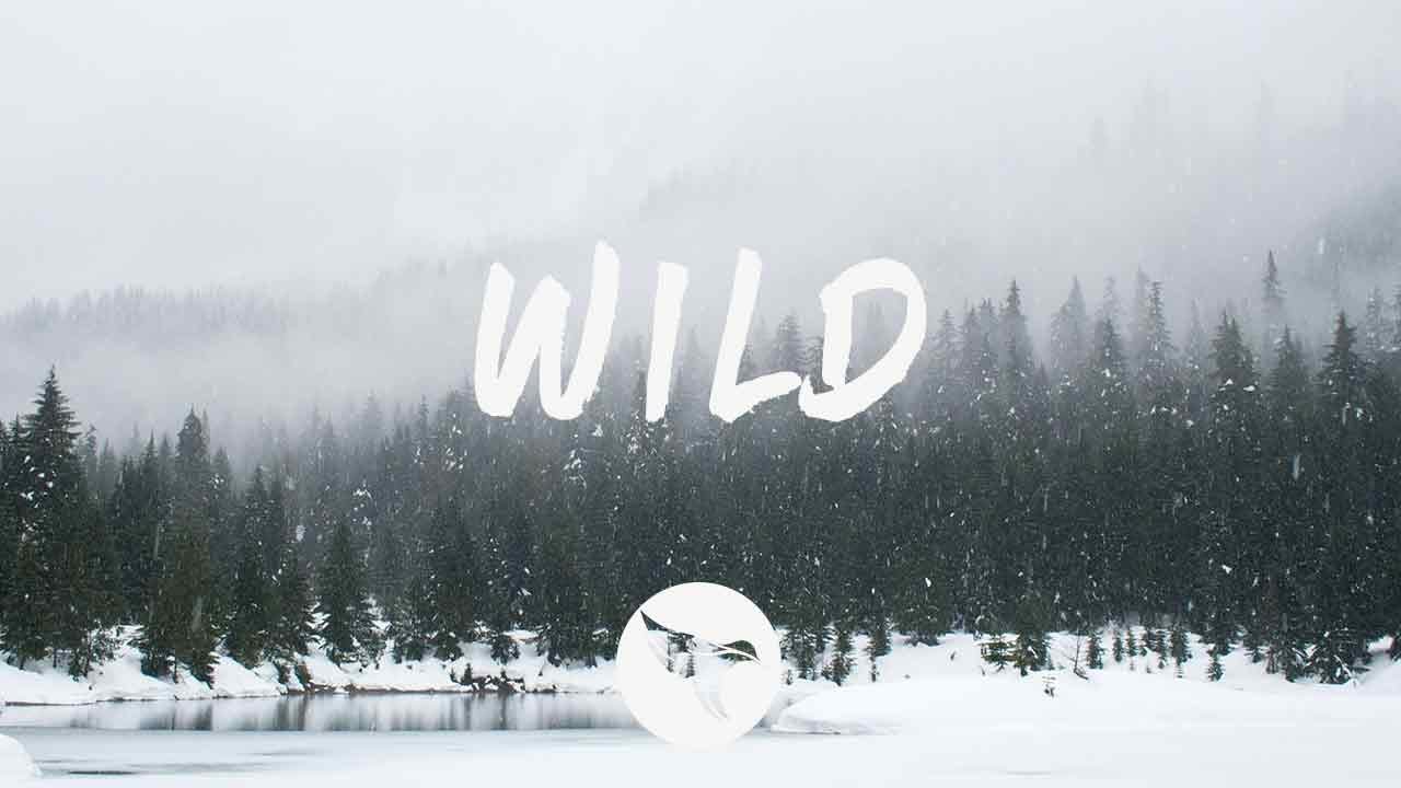 Duskus - Wild (Lyrics)
