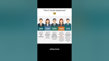 The C-Suite Explained 💼
