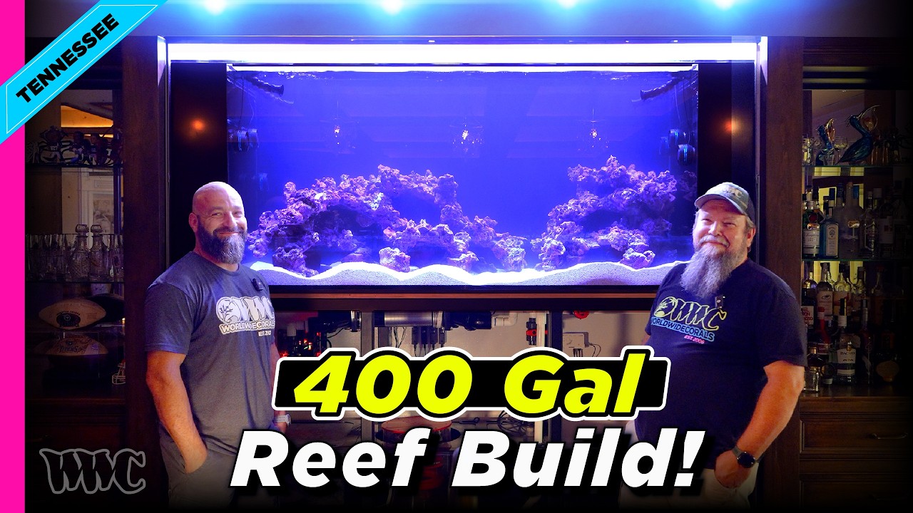 Installing a 400 Gallon In-Wall Custom Reef Aquarium | Gallatin, Tennessee