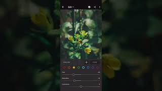 How to edit nature photo in Lightroom 2021 | Flower  Edit | #lightroom #naturephoto #edit2021 screenshot 2