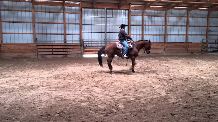 Cow Horse Training with Chris Hepp