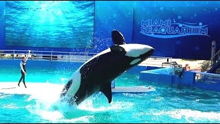 Florida,Key West,Miami seaquarium ,Palm Beach,1080p50 , short trip 2020