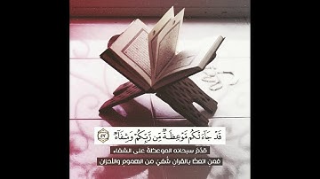 تلاوه هادئه وعذبه للقارئ أسامة عطران🌷