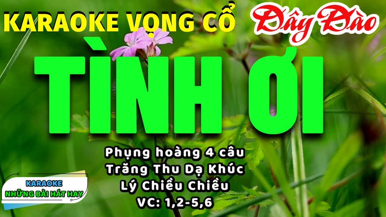 Karaoke Vọng Cổ Tình Ơi I Dây Đào I Karaoke những bài hát hay