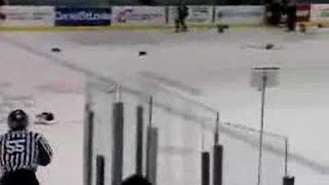 Moncton wildcats goalie fight
