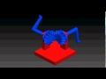 Bevel Gear Mechanism