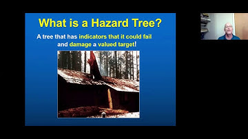 PART 1: Identifying, Assessing, and Managing Hazard Trees