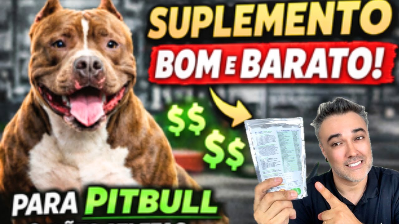 🔥 Suplemento BOM e BARATO para PITBULL e CÃES ATLETAS!