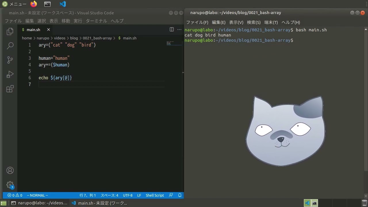 Bashの関数の使い方を猫人間が解説する 初心者向け Youtube