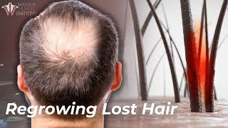 The Science of Hair Loss: How to Prevent \& Regrow Lost Hair