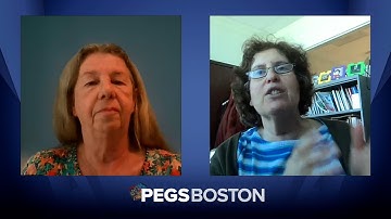 Does Codon Optimization Improve Protein Production? A Talk w/ Dr. Susan Sharfstein, Univ. at Albany