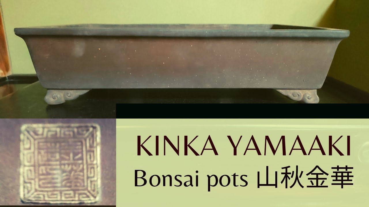 Kinka Bonsai Pot : Yamaaki's Old Brand 金華盆栽鉢 - YouTube