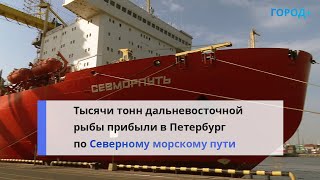 В Петербурге разгрузили более 5 тысяч тонн дальневосточной рыбы