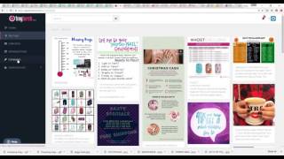 How to Use Tiny Torch for your Jamberry Business screenshot 5