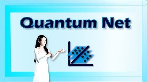 AI and the quantum neural net ⎮ Zahra M.M.A. Sadiq