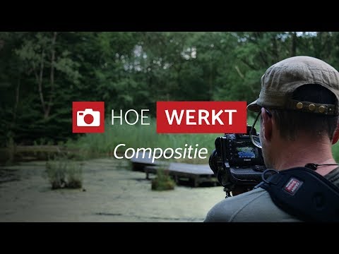 Video: Hoe Maak Je Fotoreportages Van Clubs