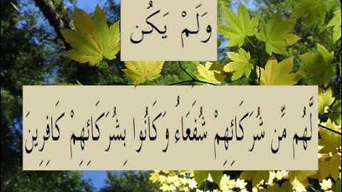 القران الكريم سورة الروم الأية 13.wmv