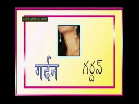 Body parts - Telugu to Hindi Basics - YouTube