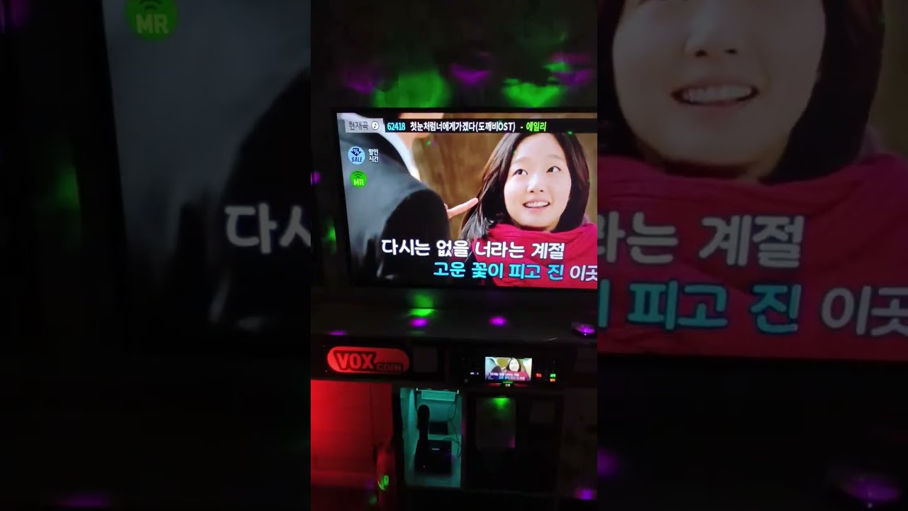 첫눈처럼 너에게 가겠다(도깨비ost)-에일리 일반인노래방커버