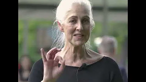 MPavilion 2019: Jill Garner