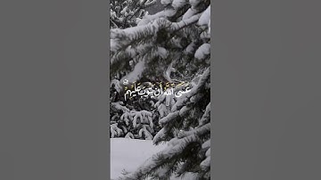 من هدي القرآن #تلاوات_خاشعة #أنس_المالك #مواعظ #التوبة