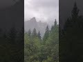 Hiking in the rain near Castle Crags, Shasta County California 🌲⛰️