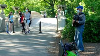 Bow Bridge and the New New York (Central Park, Memorial Day)
