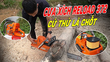 Cưa Xích RELOAD 372 Piston 50mm Khách Cứ Test Thử LÀ CHỐT