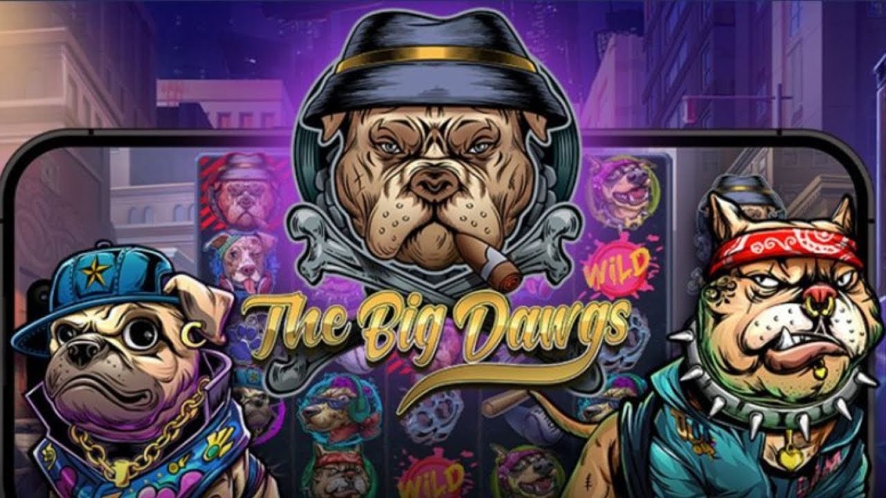 THE BIG DAWGS SLOT 👀 FIRST LOOK 👀 PRAGMATIC PLAY YouTube