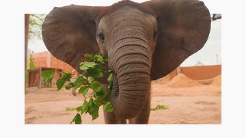 Toledo Zoo | Come Closer to Adventure!