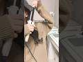社会人になってから親とご飯行くときのお会計いつも悩む👛💭#社会人 #親 日常 #vlog #準備動画 #コストコ購入品 #おすすめ #美容 #コスメ #収納動画 #生活音