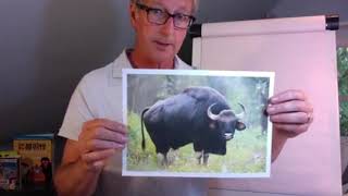 Draw along with Martin Brown, Illustrator Draw along with Martin Brown, Illustrator