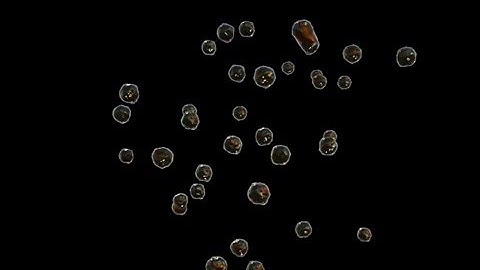 3DS MAX  - realistic soap bubble particle,material,rendering