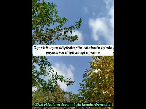 Uşaqlara aid çox doğru fikirlər.Övlada aid status.Övlada aid anlamli sözler.Vatsap video/Soonvideo/