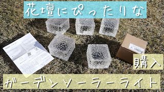 ガーデンソーラーライト購入しました｜ガーデニング初心者｜お庭づくり