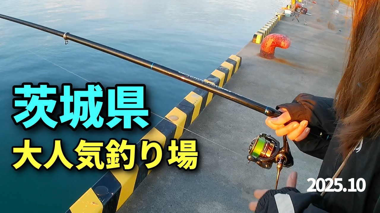 #99【堤防】車中泊しながら人気釣り場の大津港に遠征！！