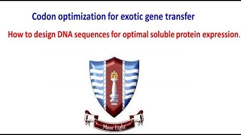 Part 2 codon optimization