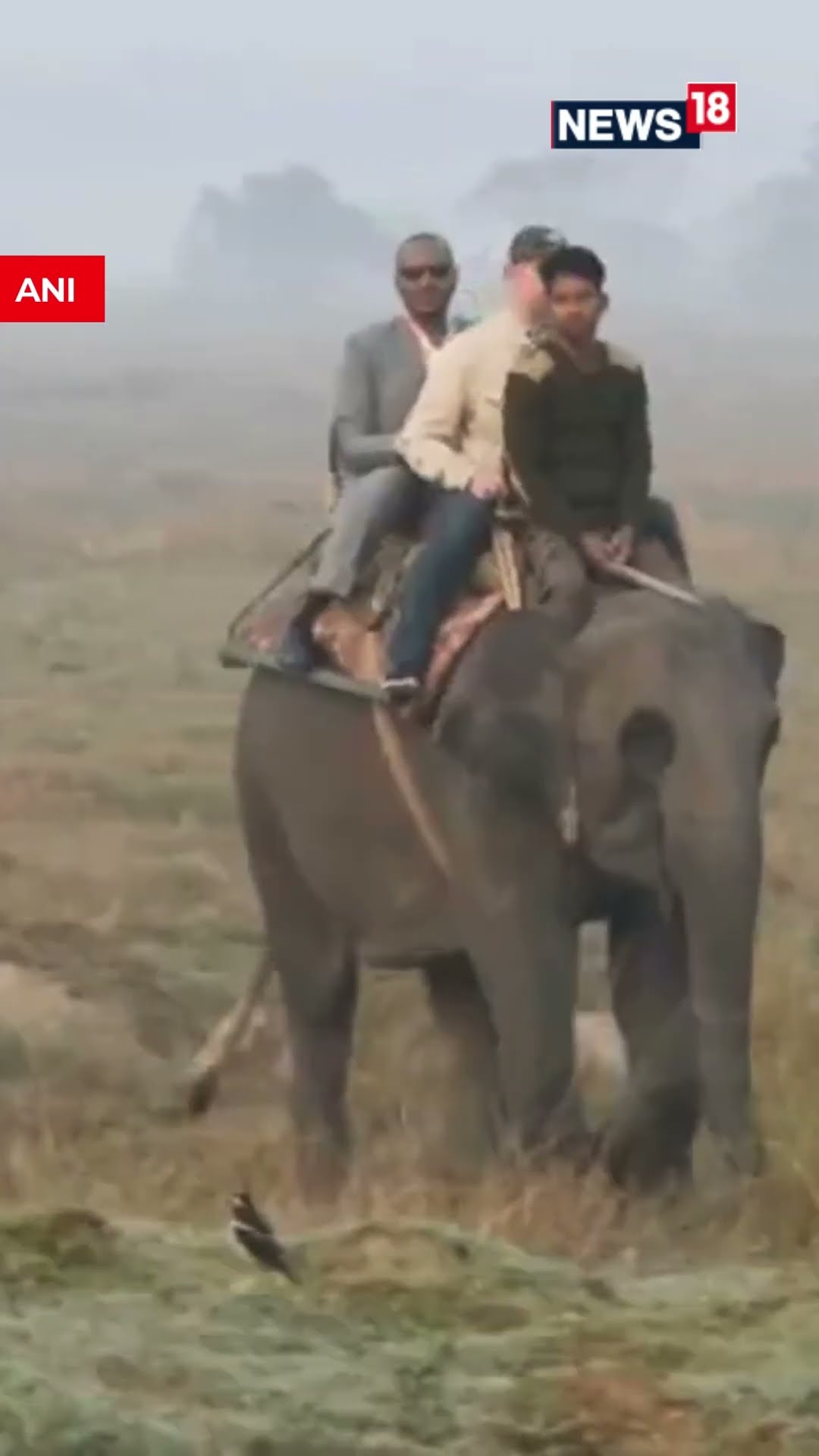 Kaziranga Connect: EAM S Jaishankar's Elephant Safari | N18S | #trending