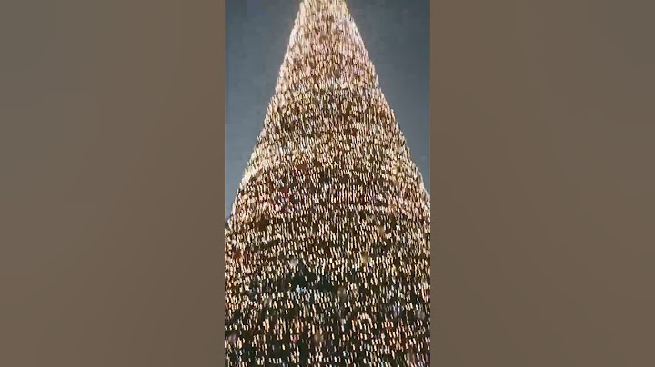 🎄🎀🎆Գլխավոր տոնածառը Երևանում🥰🎄♥️