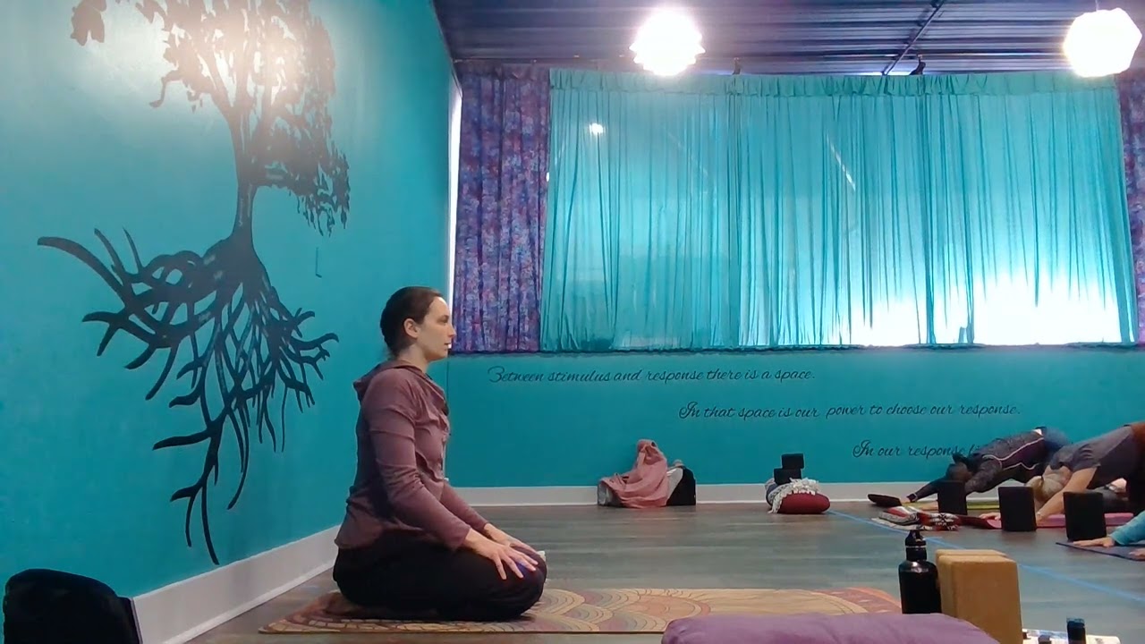 Yoga Flow & Meditation: Stimulus, Response & The Space Between