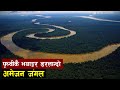        facts about amazon rainforest  bishwo ghatana