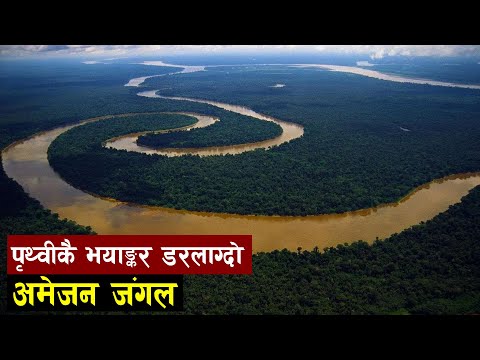 यस ज गलम अझ आद म म नव रह क म न न छ Facts About Amazon Rain Forest Bishwo Ghatana 