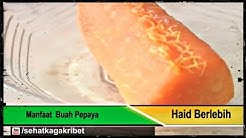 Obat Herbal Mengatasi Haid yang Berlebihan dengan Ramuan Buah Pepaya Muda [Manfaat Buah Pepaya] - Durasi: 3.46. 