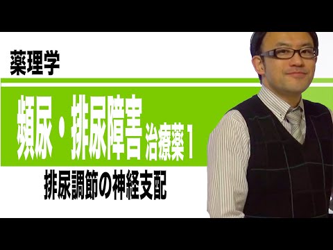 頻尿治療薬、排尿障害治療薬①（排尿調節の神経支配）