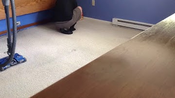 Time Lapse Tuft & Needle Bed Assembly