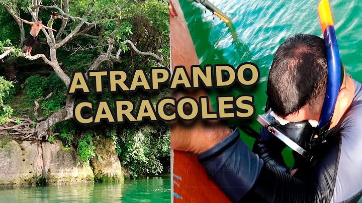 Ceviche de caracol en el lago de Ilopango