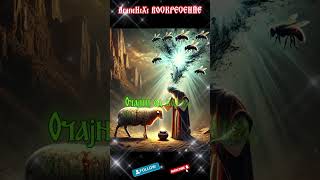 Во Псалмот 23 #православие #псалми #исусхристос #давид #поуке #овцы #благодать #благословение #крст