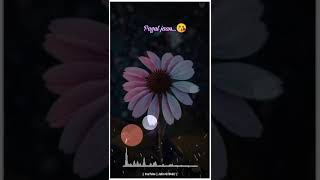 || New Romentic WhatsApp status video || pagal jaan ...😘|| Jatin G//9422/ ||
