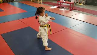 Little Ninjas class 3 to 5 year old training