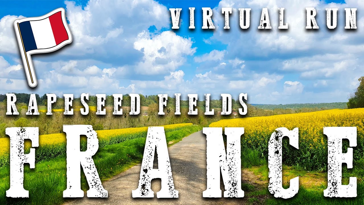 🆃RE🅰DMILL | Virtual 🆁un - RAPESEED FIELD BLOOMING - COUNTRYSIDE - FRANCE - 